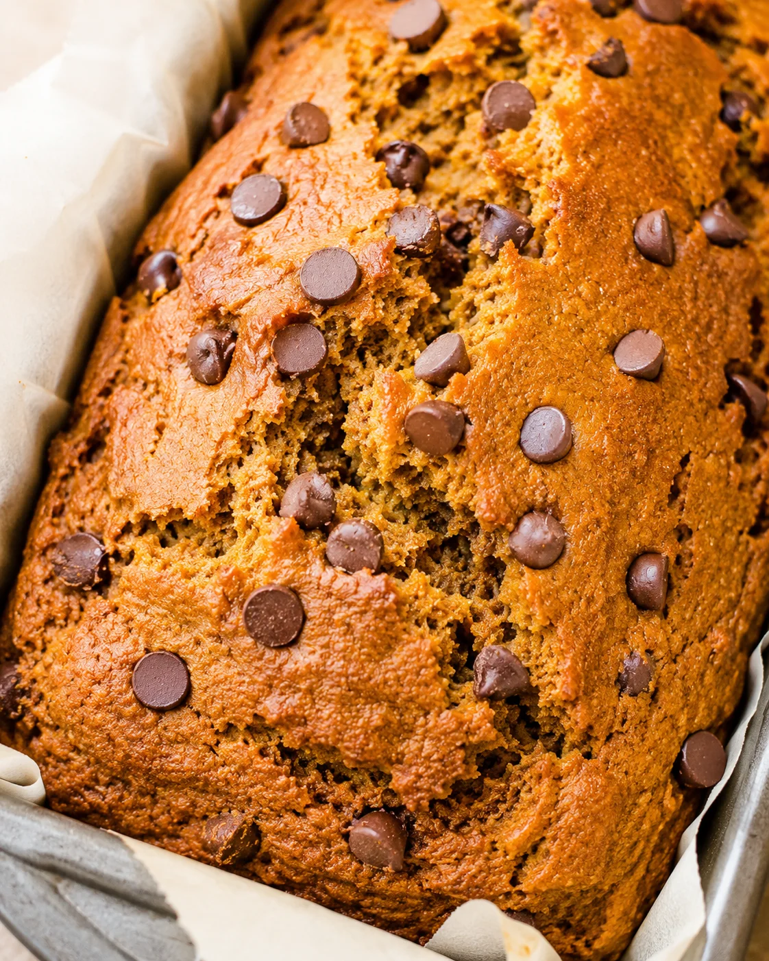 Close top view of a pumpkin chocolate chip bread in a parchment-lined pan