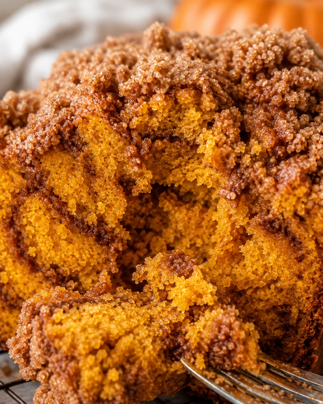 Detailed close-up of snickerdoodle pumpkin bread crumb and cinnamon crumble topping